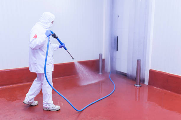 Reliable Glenwood Landing, NY Pressure Washing Services Solutions
